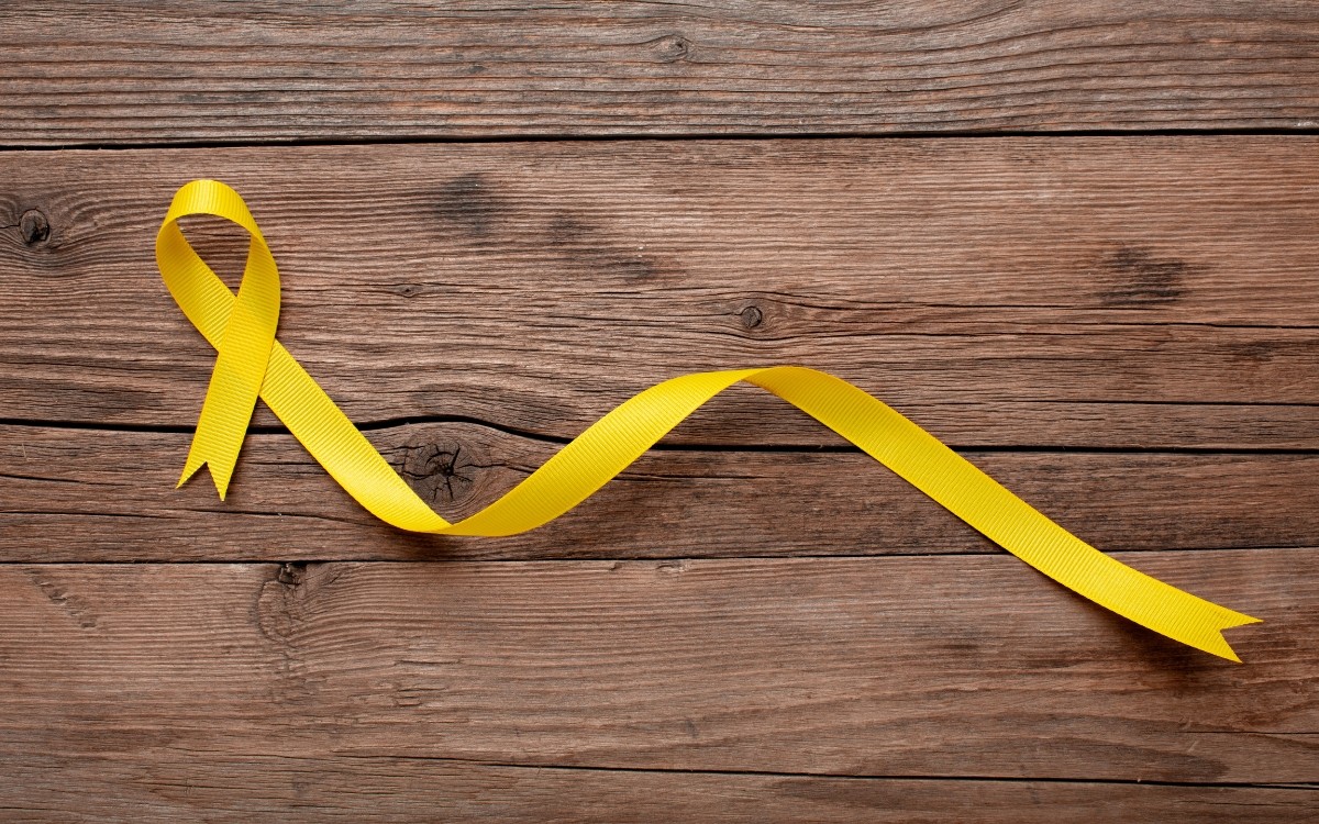 Maio Amarelo 2025 alerta: atitudes no trânsito que não dão tempo de voltar