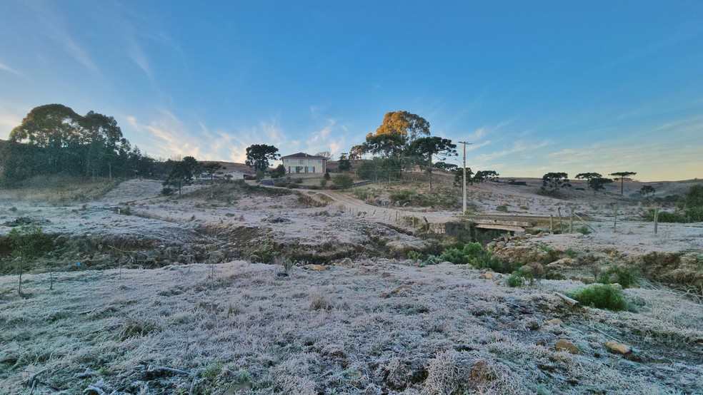 Geada em São Joaquim — Foto: Mycchel Legnaghi/São Joaquim Online/Divulgação