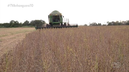 Tocantins fatura mais de R$ 3 bilhões em exportações