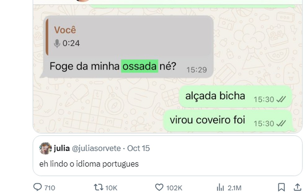 Post da trend 'é lindo o idioma português' — Foto: Reprodução