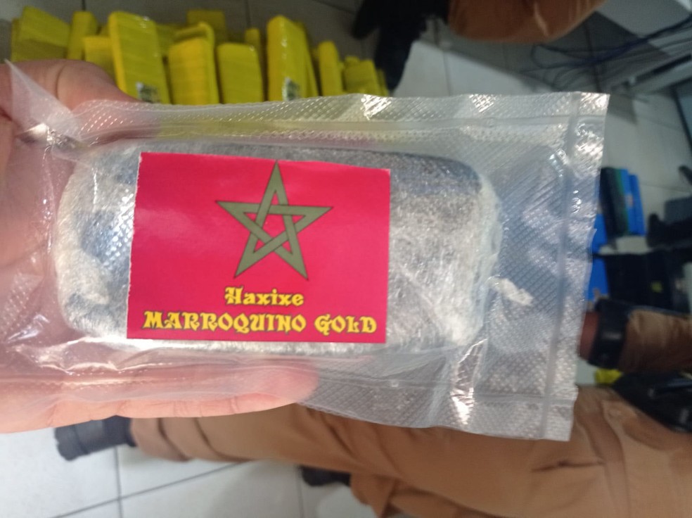 Adolescente transportava mais de 500 quilos de drogas em carro — Foto: Pontal News