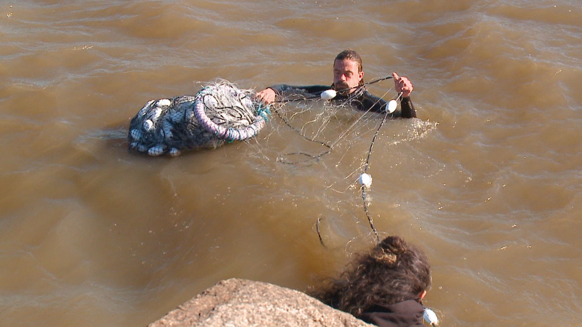 Pesquisadores investigam desaparecimento de tartarugas em praia do RS após enchente