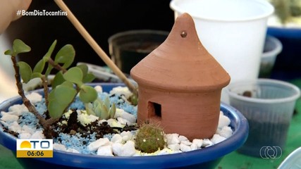 Crianças aprendem sobre plantas em projeto realizado em Taquaruçu