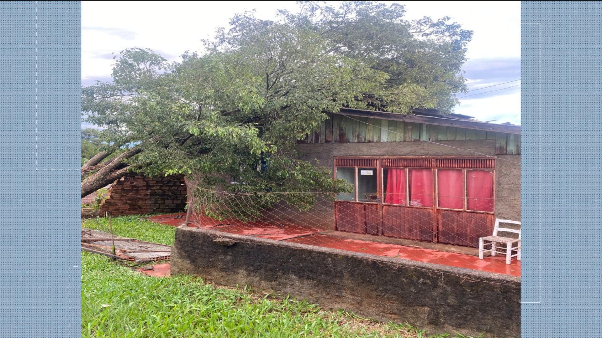 VÍDEOS: Bom Dia Santa Catarina de terça-feira, 17 de março de 2026