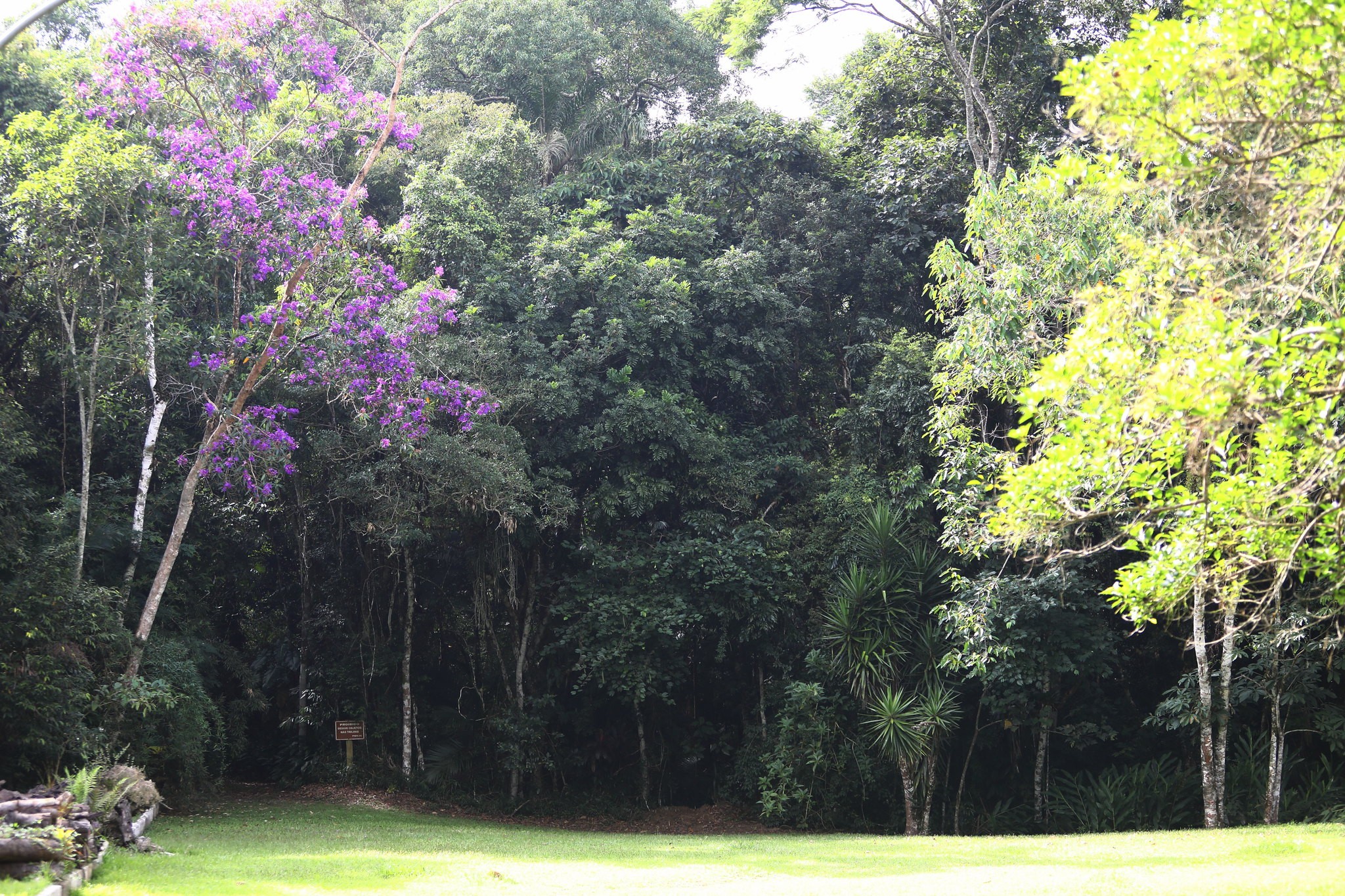 Câmara de São José dos Campos aprova concessão do horto florestal à iniciativa privada