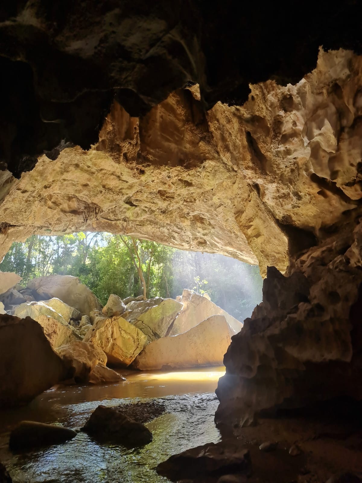 Caverna de 700 milhões de anos guarda estalagmites, estalactites e ...