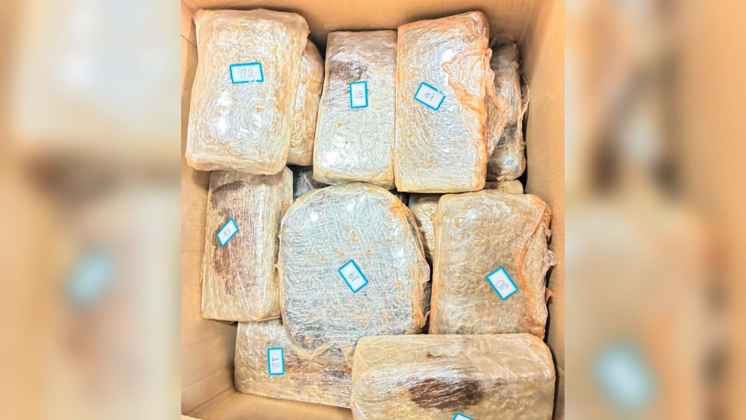 Polícia intercepta carro com 47 tabletes de 'supermaconha' e apreende até cão de raça com suspeito