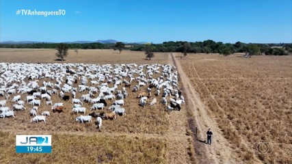 Veja os destaque do Globo Rural deste domingo (14)