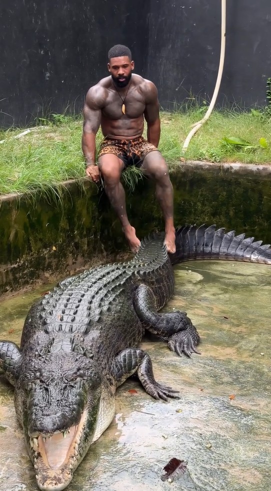Influenciador dos EUA é investigado na Austrália por gravar lutas com crocodilos