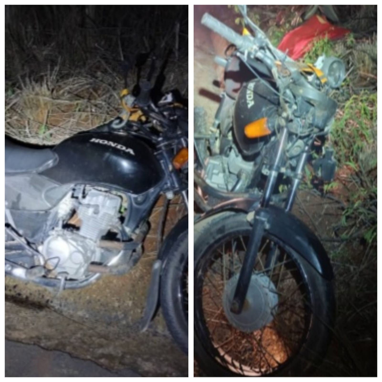 Motociclista morre após bater em cavalo na MG-202