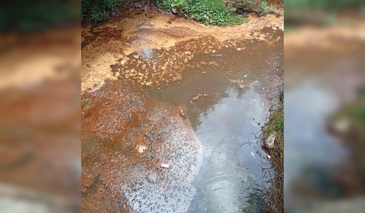 Moradores flagram água escura e peixes mortos em ribeirão de Itaberá