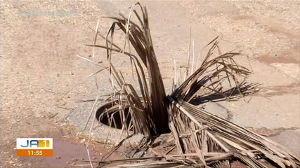 Moradores da antiga 403 Norte, em Palmas, reclamam de prejuízos após obra de esgoto