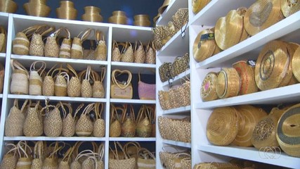 Saiba mais sobre o capim dourado e as produções que ele origina