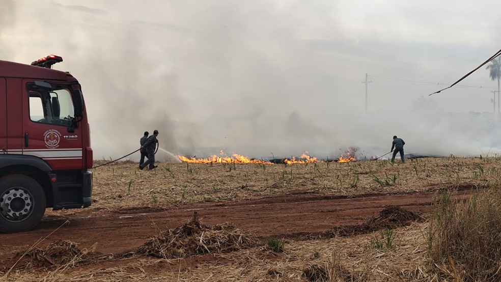 Incêndio em propriedade rural de Rubiácea (SP) — Foto: TV TEM / Felipe Nunes