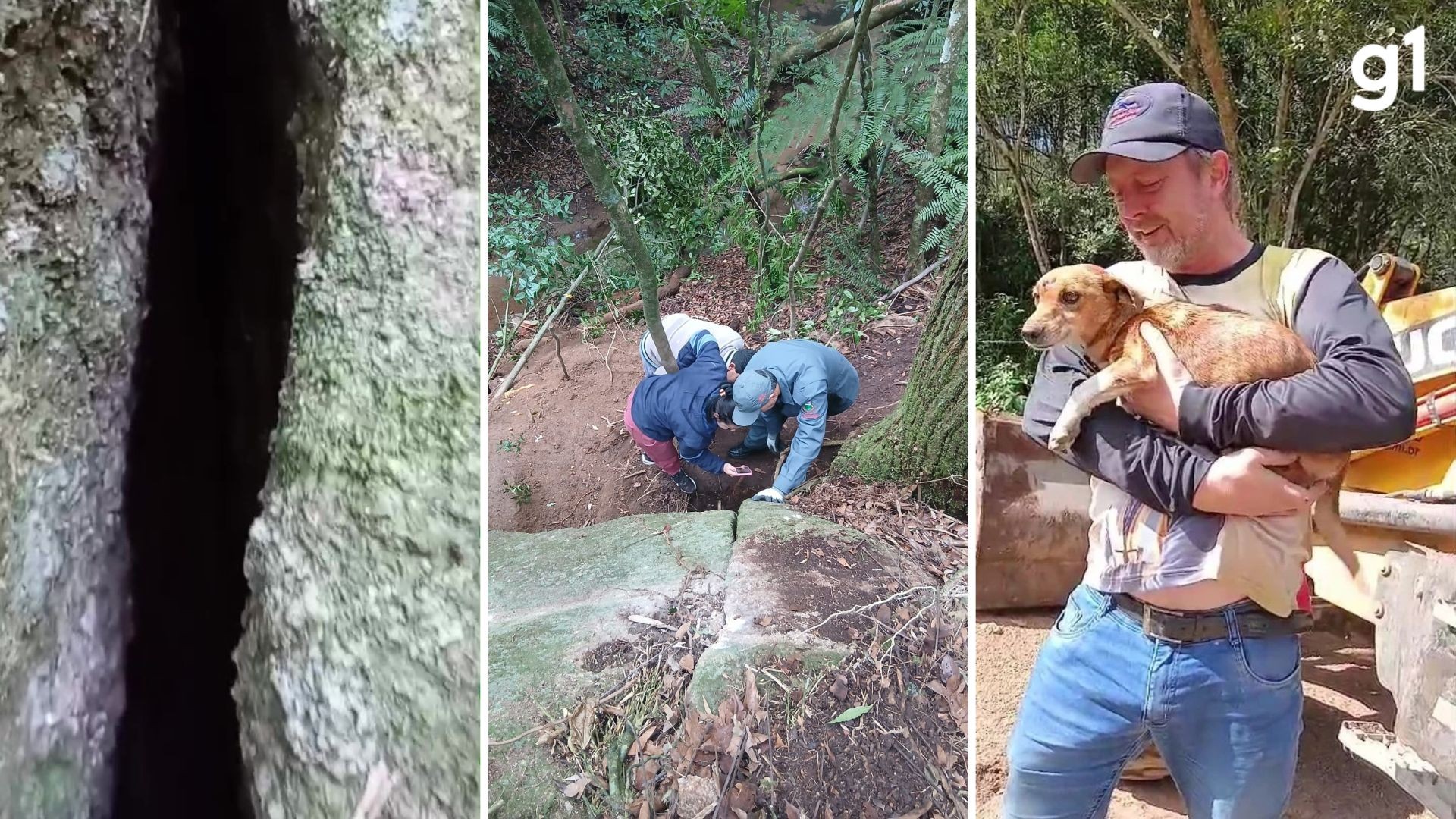 Cachorrinha presa em fenda por 5 dias é resgatada no Interior do RS