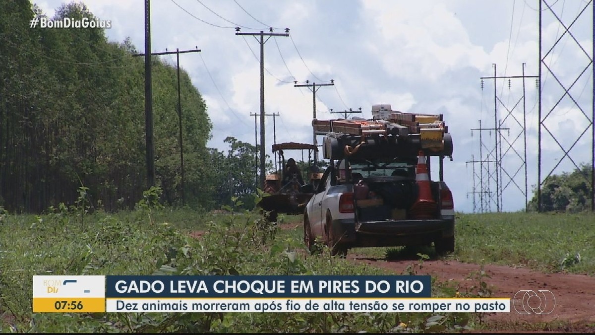 Fio de energia cai e mata cavalo em área rural de Itaporanga