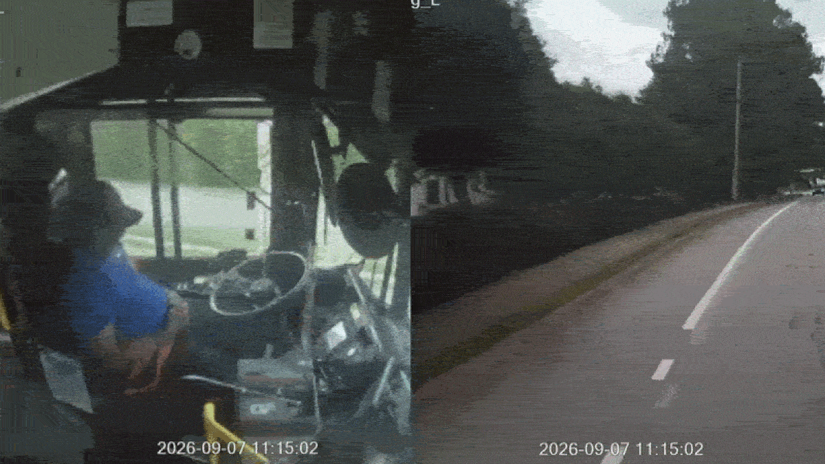 VÍDEO: Motorista de ônibus dorme ao volante e bate em árvores nos EUA