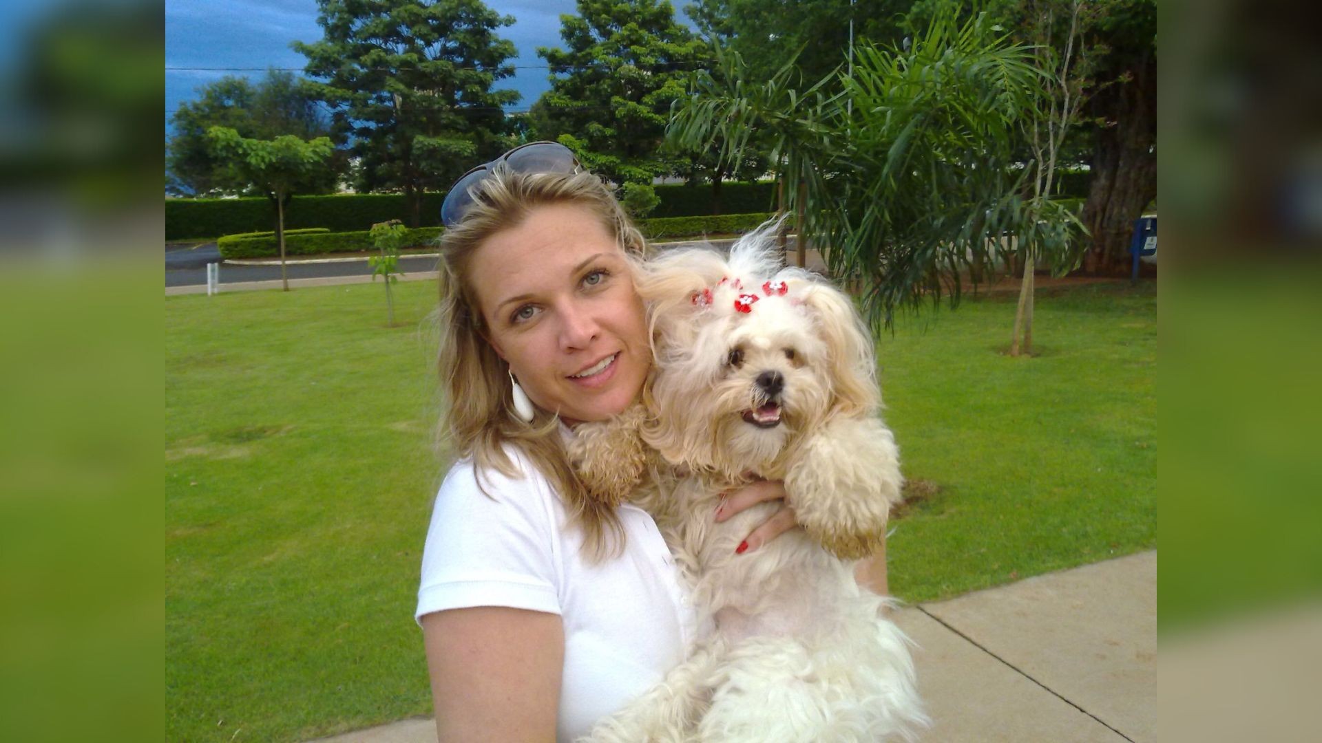 Jornalista em luto faz campanha para ajudar animais abandonados após perder cachorra de 15 anos: 'Me transformou' 
