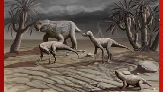 Nova espécie pré-histórica descoberta no RS é destaque em revista internacional - Fóssil descoberto em Santa Cruz do Sul representa animal que viveu há 237 milhões de anos. Animal era um silessauro, espécie característica do RS.
