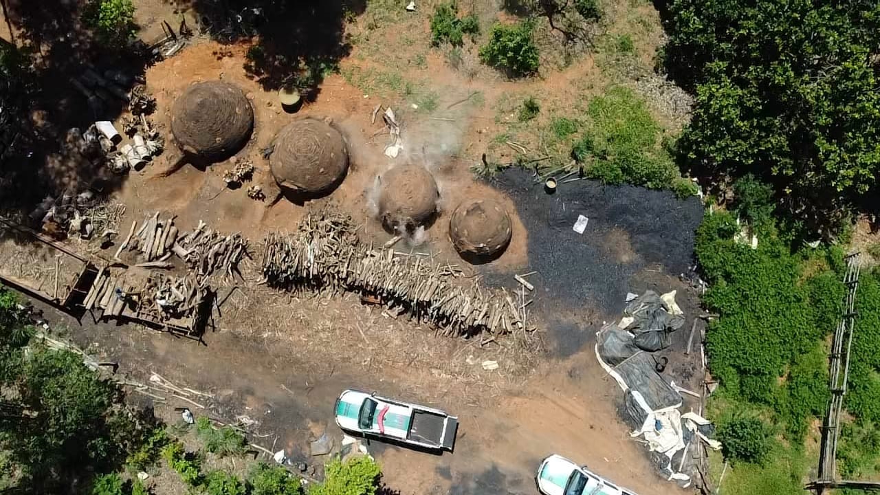 Por satélite, polícia descobre carvoaria ilegal no meio da mata e dono é multado por crime ambiental em MG