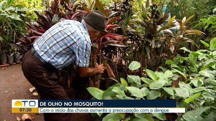 Temporada de chuva aumenta preocupação de moradores com o Mosquito da Dengue