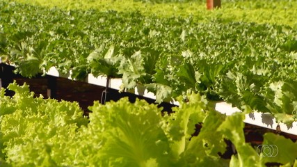Veja o giro de notícias para todo estado do Tocantins