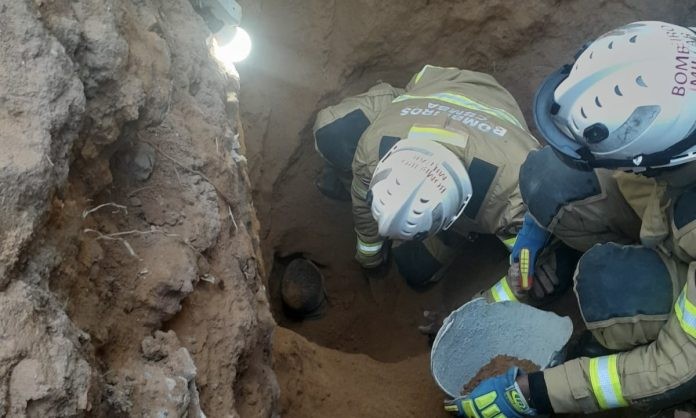 Trabalhador é resgatado após ficar três horas soterrado em Salvador; apenas cabeça da vítima não foi coberta por terra