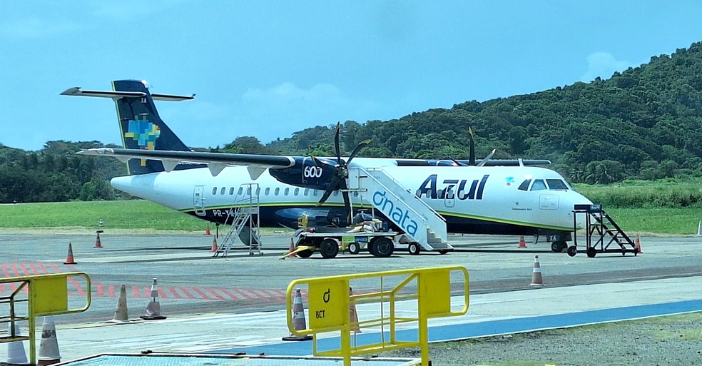 Avião da Azul colidiu com um pássaro e teve uma pane — Foto: Ana Clara Marinho/TV Globo