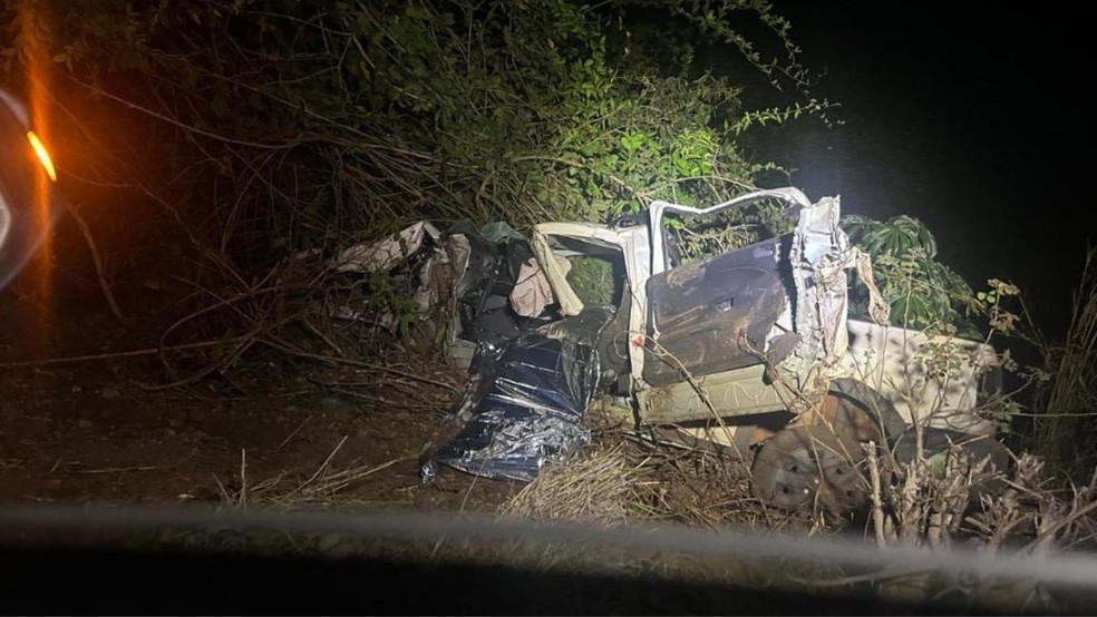 Carro do engenheiro agrônomo bateu em uma árvore na GO-239 — Foto: Divulgação/Polícia Militar