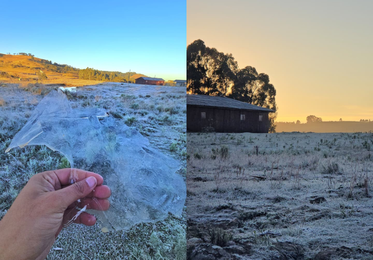 Frio de -4,22°C forma placas de gelo e paisagens tomadas de branco em SC: 'Todo lugar que a gente olha'