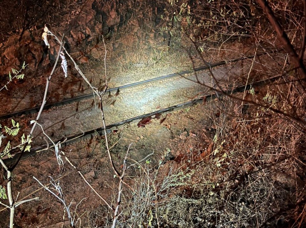 Menina que desapareceu da cidade de Ipaporanga foi encontrada morta em via férrea no município de Crateús. — Foto: Reprodução