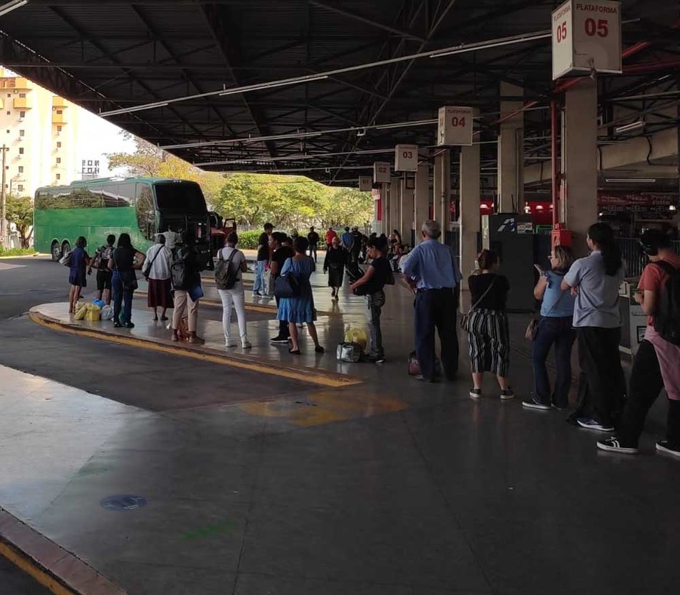 Ônibus que transportava 44 bolivianos clandestinamente foi apreendido na Rodovia Raposo Tavares (SP-270), em Regente Feijó (SP), e levado ao Terminal Rodoviário de Presidente Prudente (SP) — Foto: Cedida