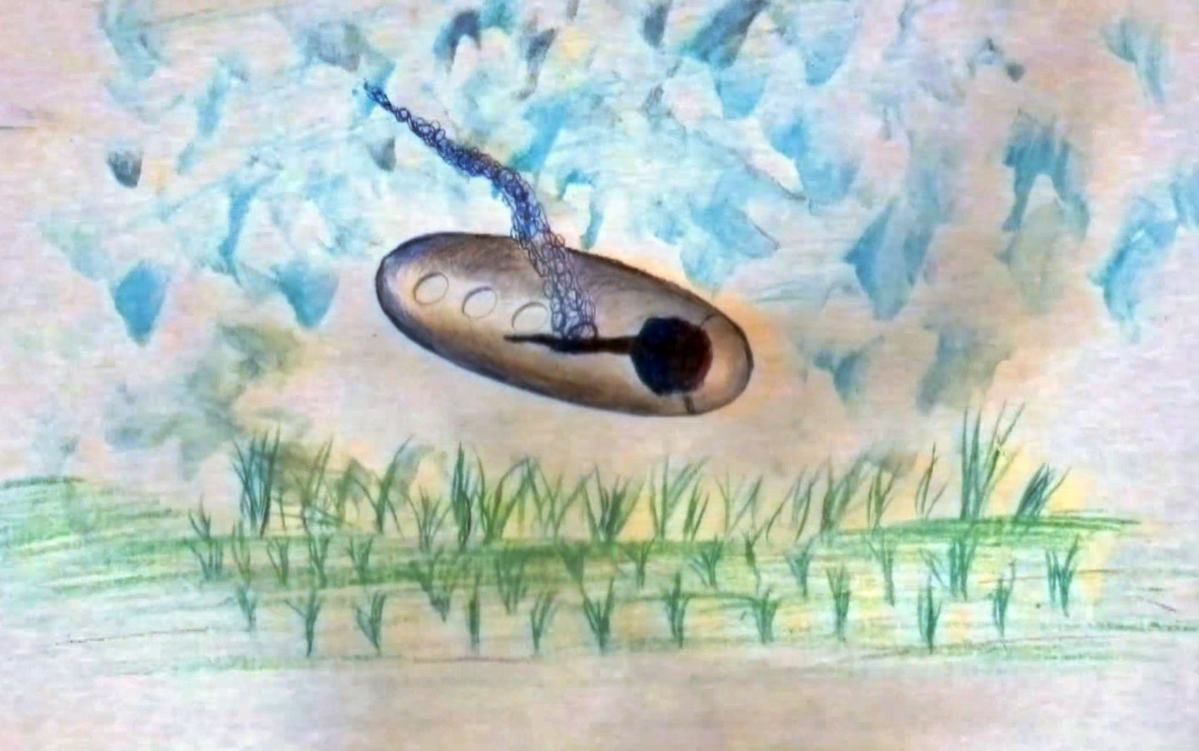 Testemunhas descrevem suposta nave extraterrestre que caiu em Varginha, Brasil, em 1996