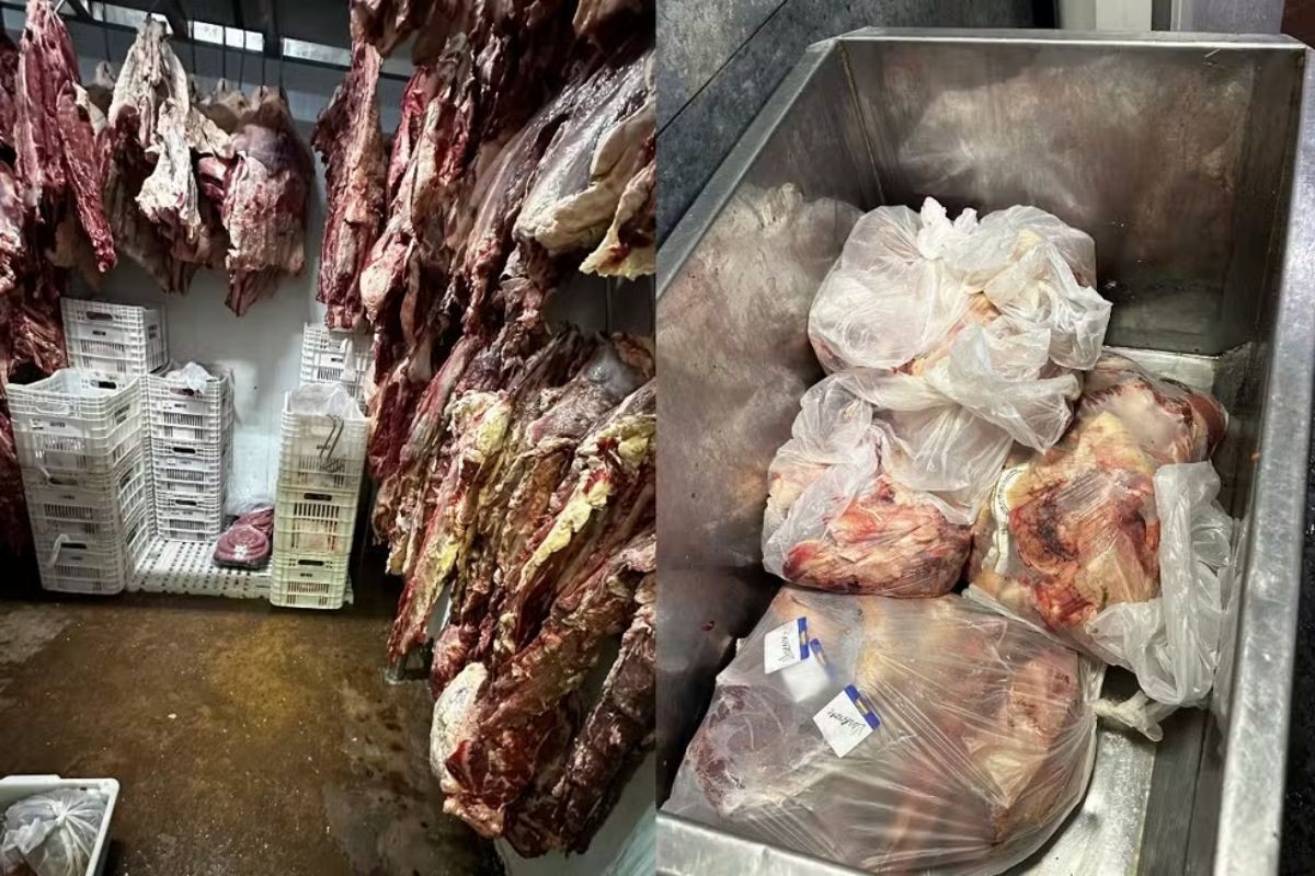 Mais de 2 toneladas de carnes impróprias para consumo são apreendidas em supermercado de MS