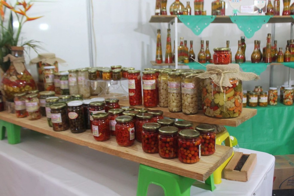 4ª Agrivales oferece capacitações e seminários gratuitos em Teófilo Otoni — Foto: Agrivales/arquivo pessoal