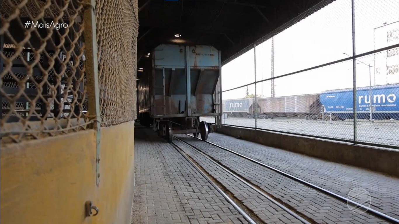 Ferrovia mais próxima do produtor pode revolucionar escoamento da soja em MT