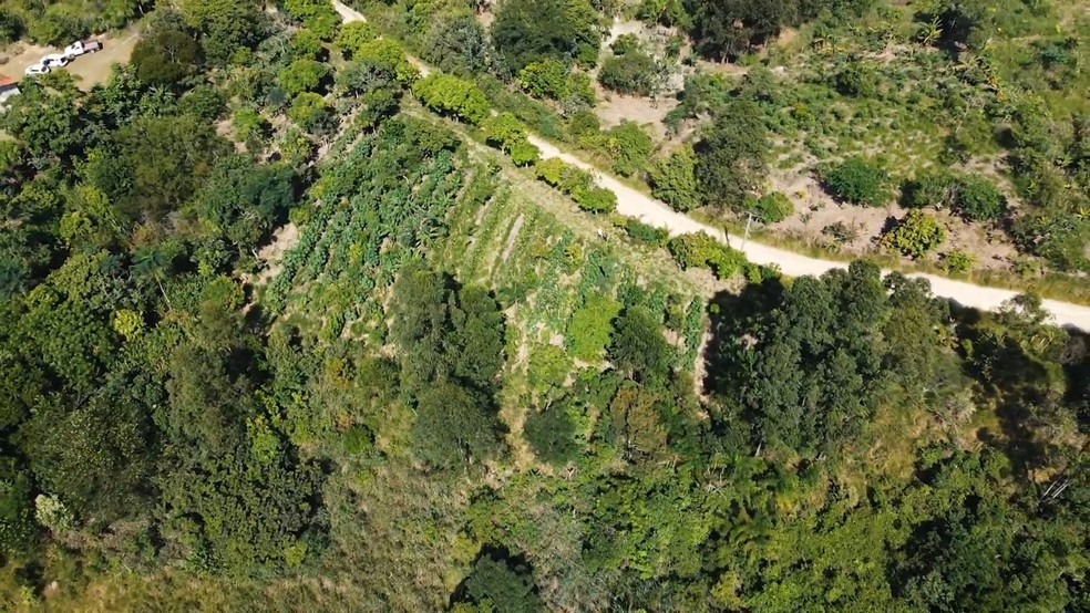 O assentamento do MST que foi alvo do ataque fica na zona rural de Tremembé. — Foto: Reprodução/TV Vanguarda