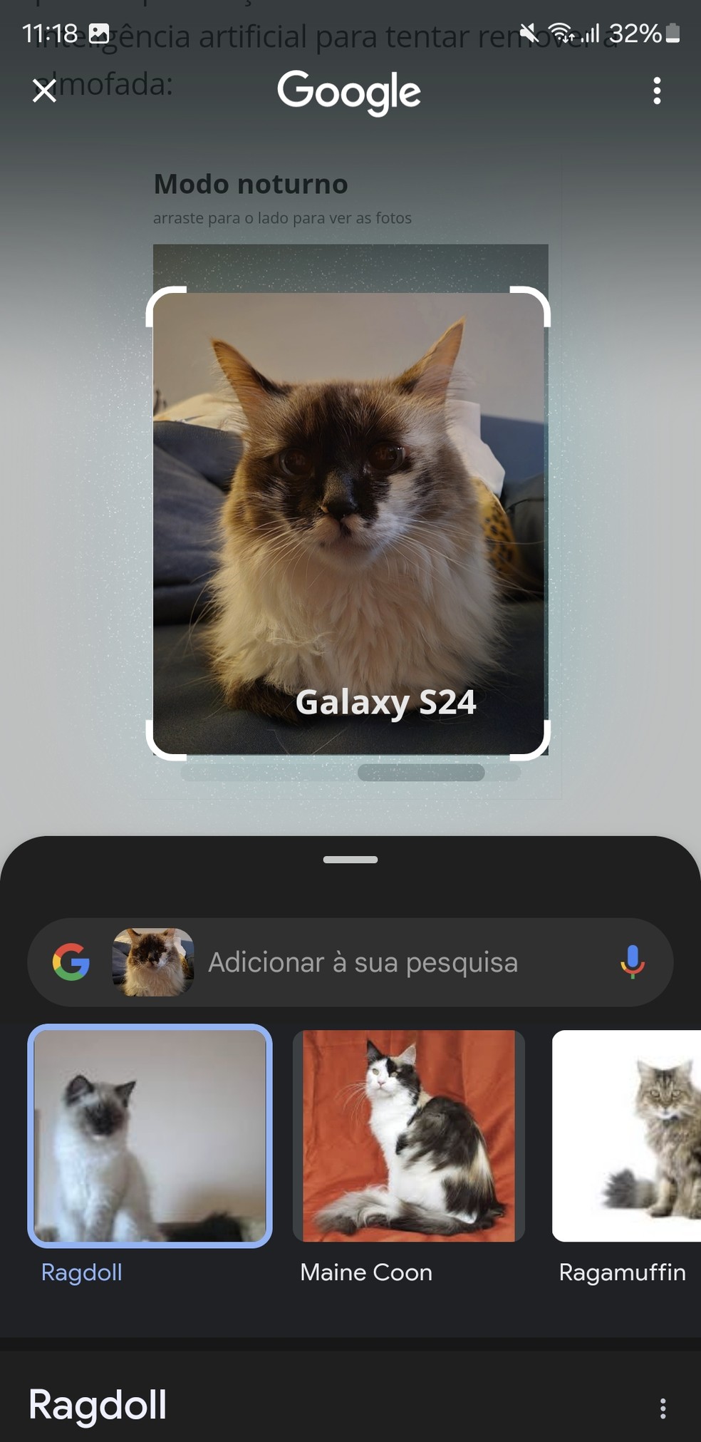 Recurso Circular para Buscar no Galaxy S24 Ultra — Foto: Reprodução