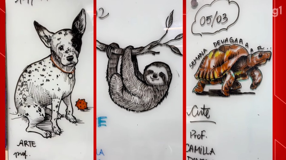 Professora de artes do DF viraliza na web com desenhos feitos em lousa de sala de aula; veja imagens