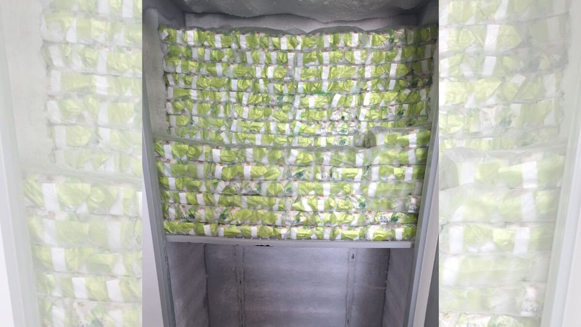 Polícia fecha fábrica clandestina de ‘gelo saborizado’ com produtos vencidos e indícios de etanol no interior de SP