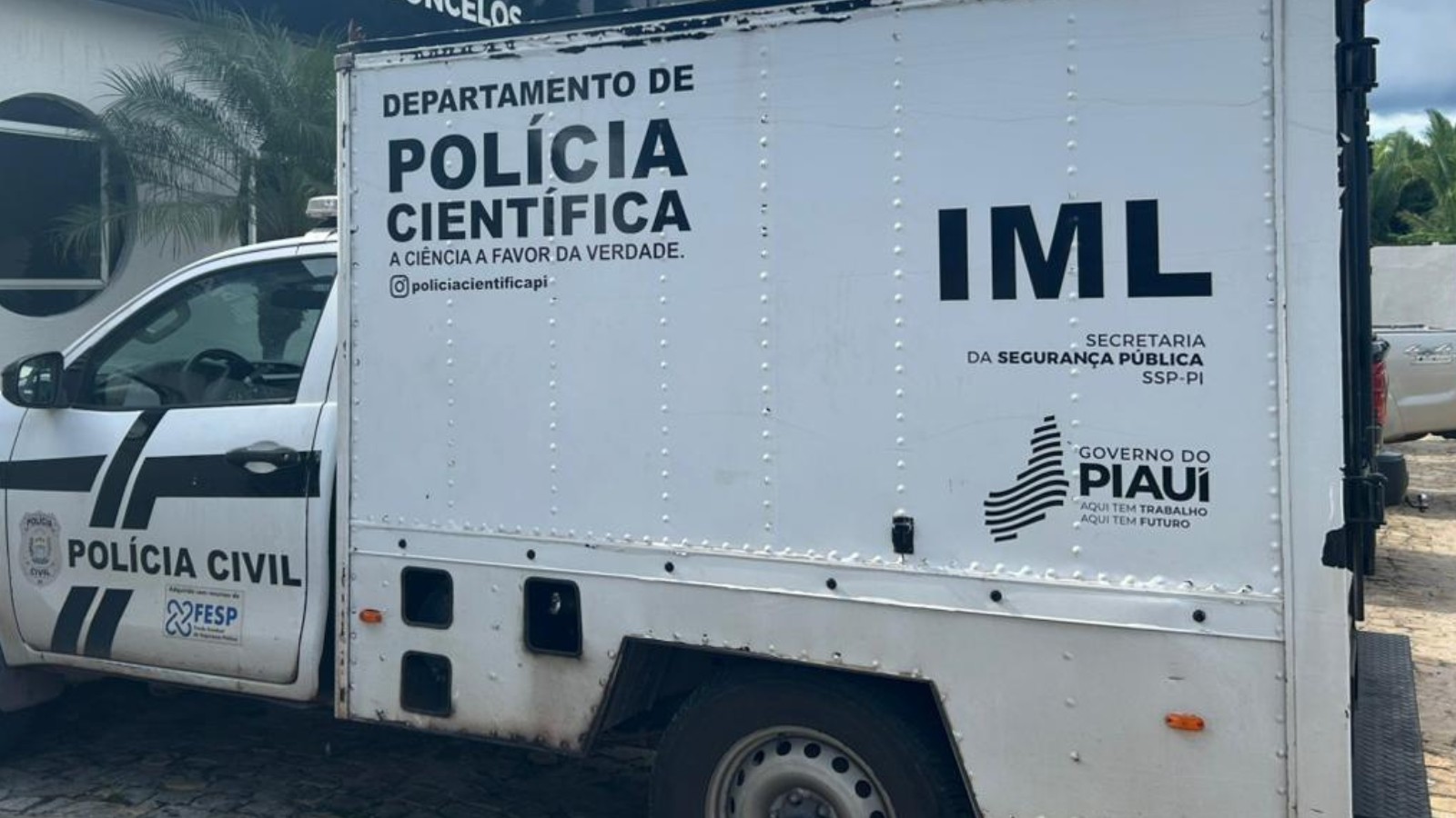 Motociclista morre após bater em árvore e cair em barranco no PI; veículo pegou fogo