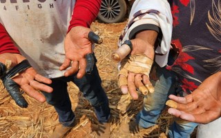 Número de trabalhadores resgatados de condições análogas à escravidão é o maior dos últimos 14 anos, diz governo