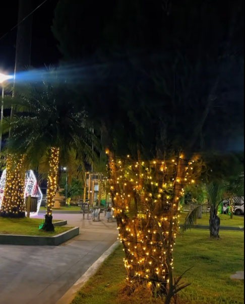 Decoração de Natal em Pinheiral