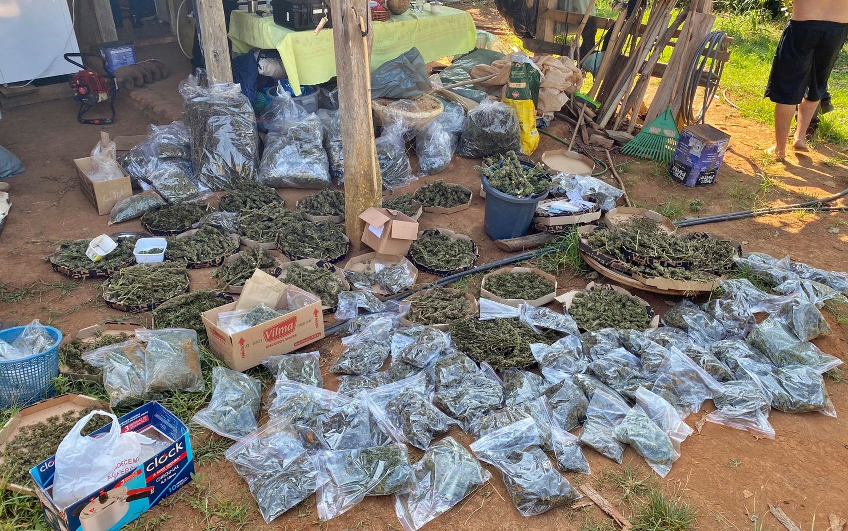 Polícia apreende cerca de uma tonelada de maconha em fazenda de MG;  droga era escondida em embalagens de pizza