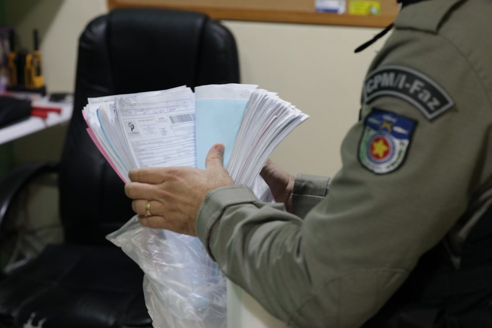 MPAL cumpre mandados contra suspeitos de fraudes fiscais, societárias e falsificação de documentos — Foto: MPAL