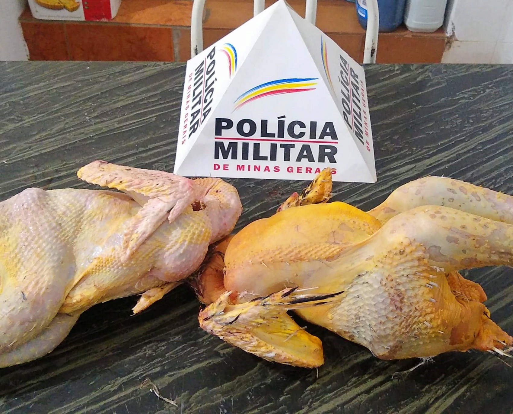 Ex-funcionário é preso após furtar dois frangos em sítio onde trabalhava e guardar aves depenadas em MG