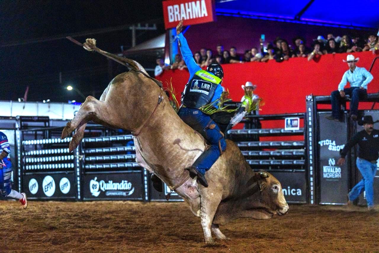De Luan Santana aterrissando no palco a Gusttavo Lima 'roqueiro': reveja os melhores momentos do Limeira Rodeo Music 2026
