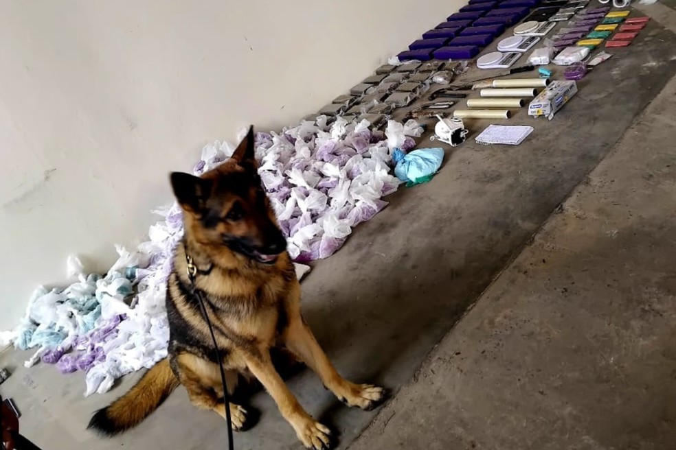 Mais de 30 kg de drogas são apreendidos em São Miguel Arcanjo (SP) — Foto: Reprodução/Polícia Civil