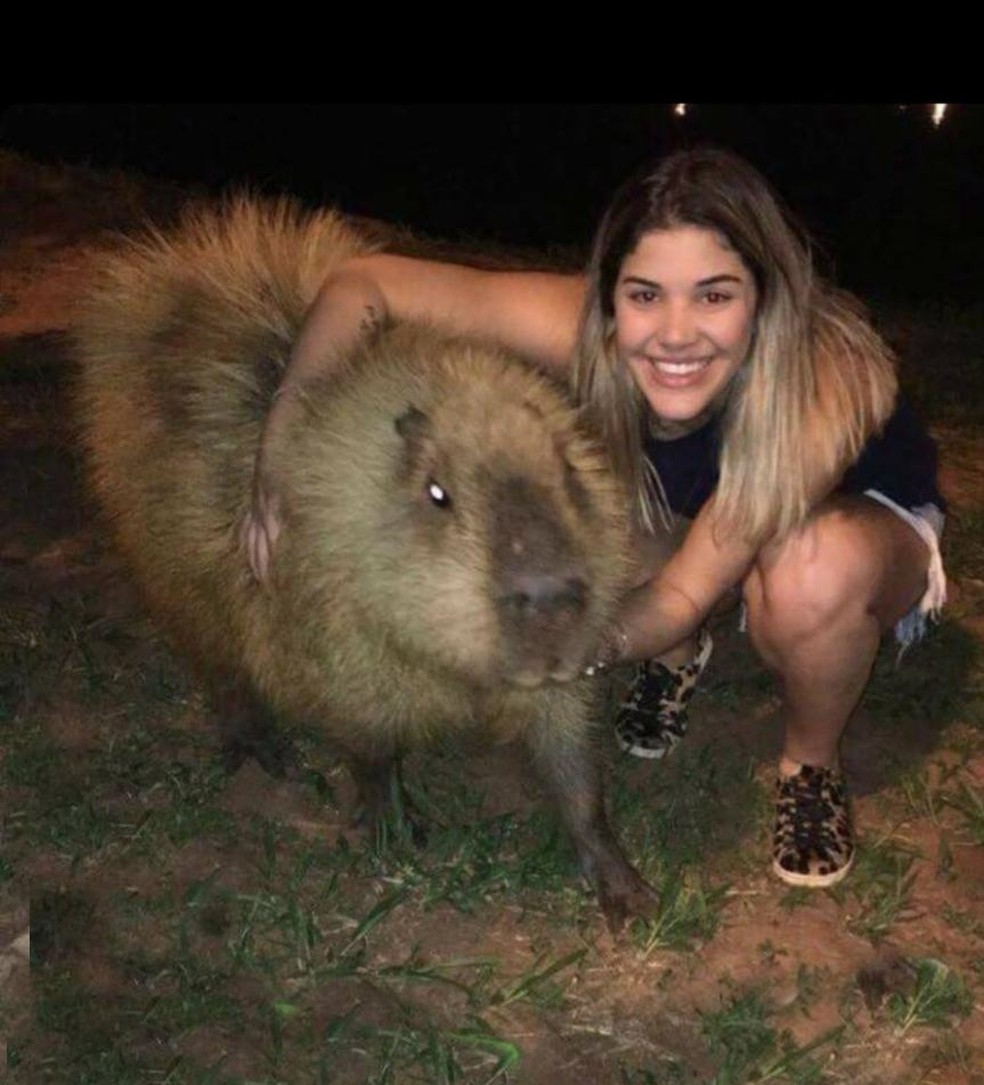 Capivara é flagrada correndo na rua em bairro da zona Oeste de Franca; VÍDEO