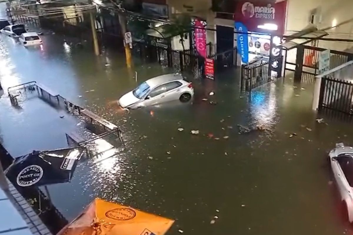 Santos tem o triplo de chuva esperado para o mês em 24h; entenda